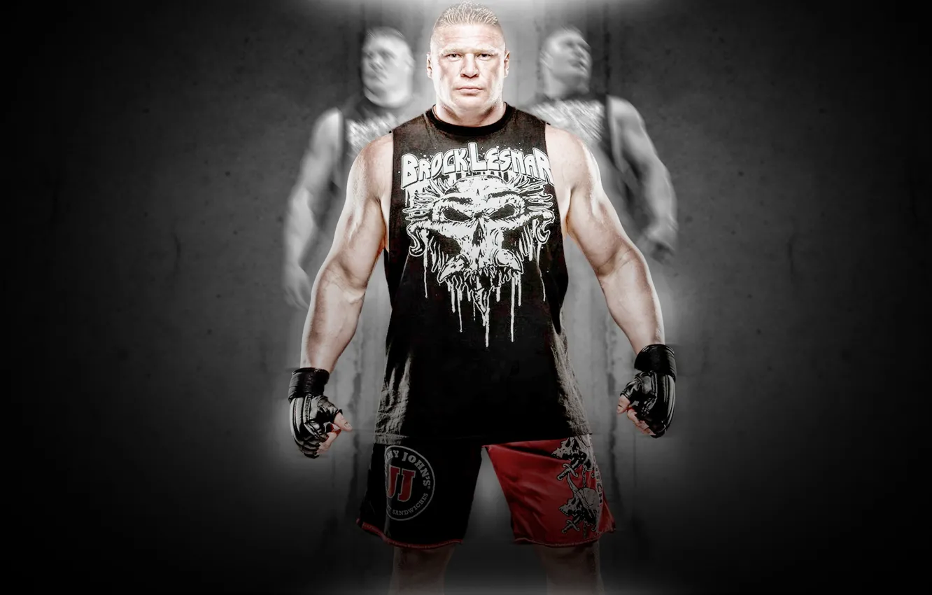 Photo wallpaper fighter, WWE, ufc, Brock Lensar