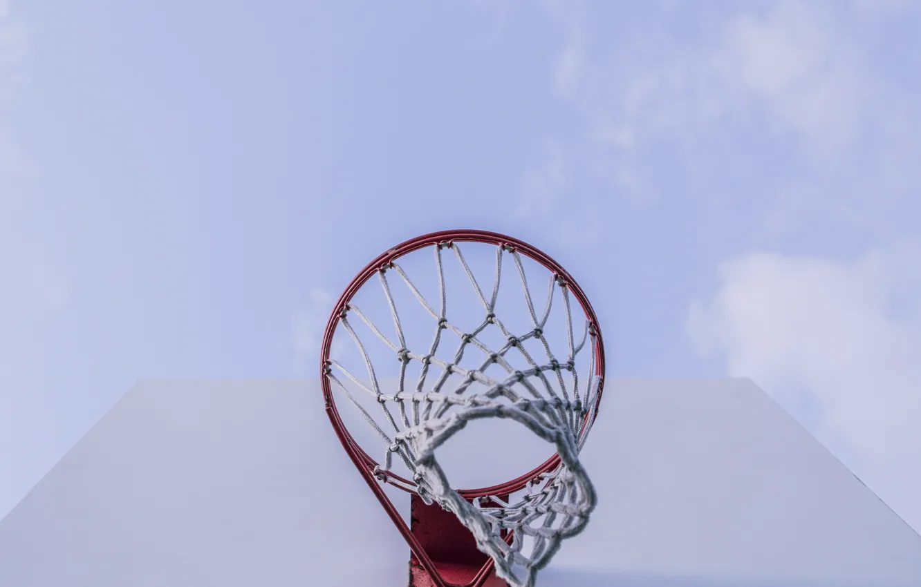 Photo wallpaper mesh, ring, shield, basketball