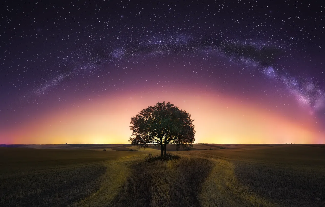 Photo wallpaper field, the sky, night, tree, the milky way