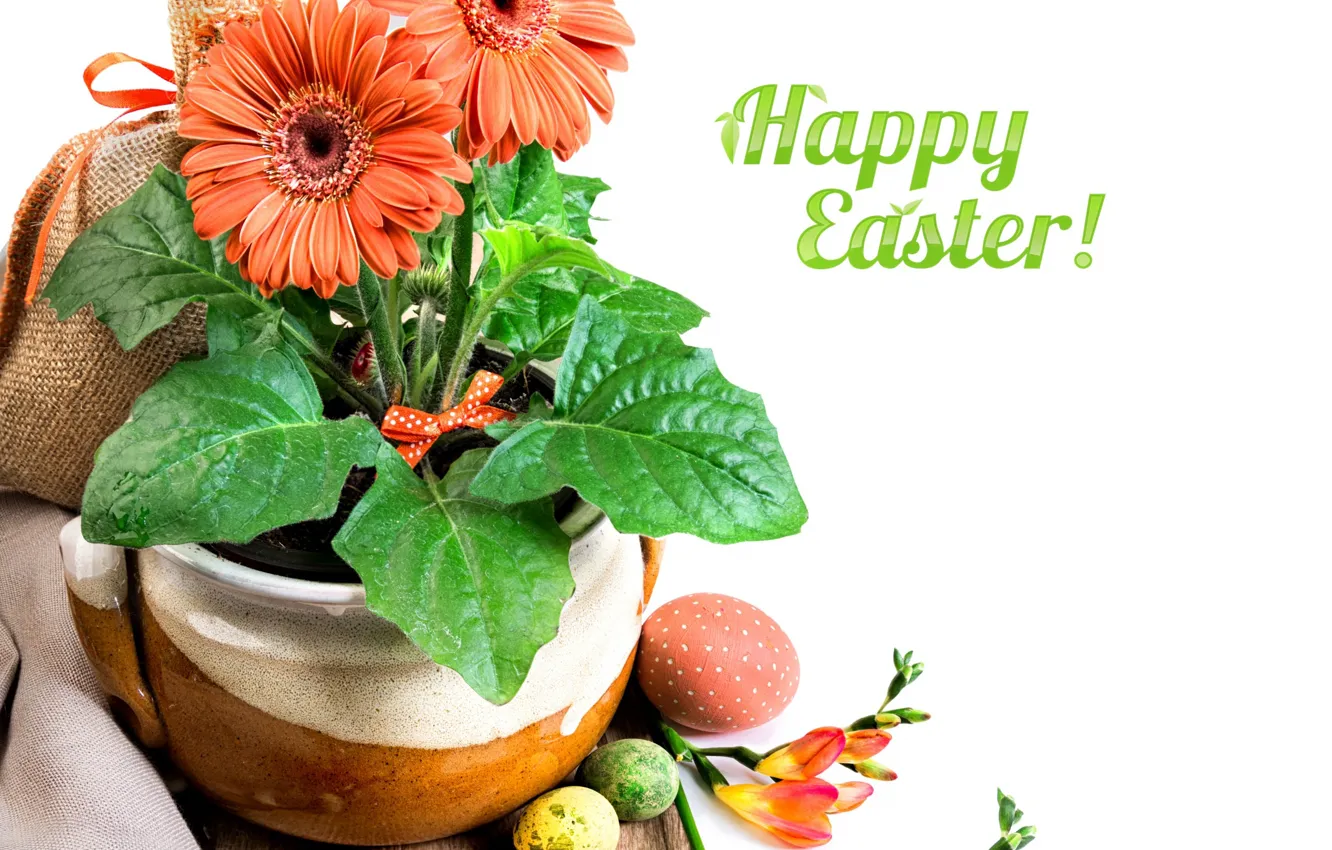 Photo wallpaper holiday, Easter, gerbera, Easter eggs, decor, freesia, Anya Ivanova