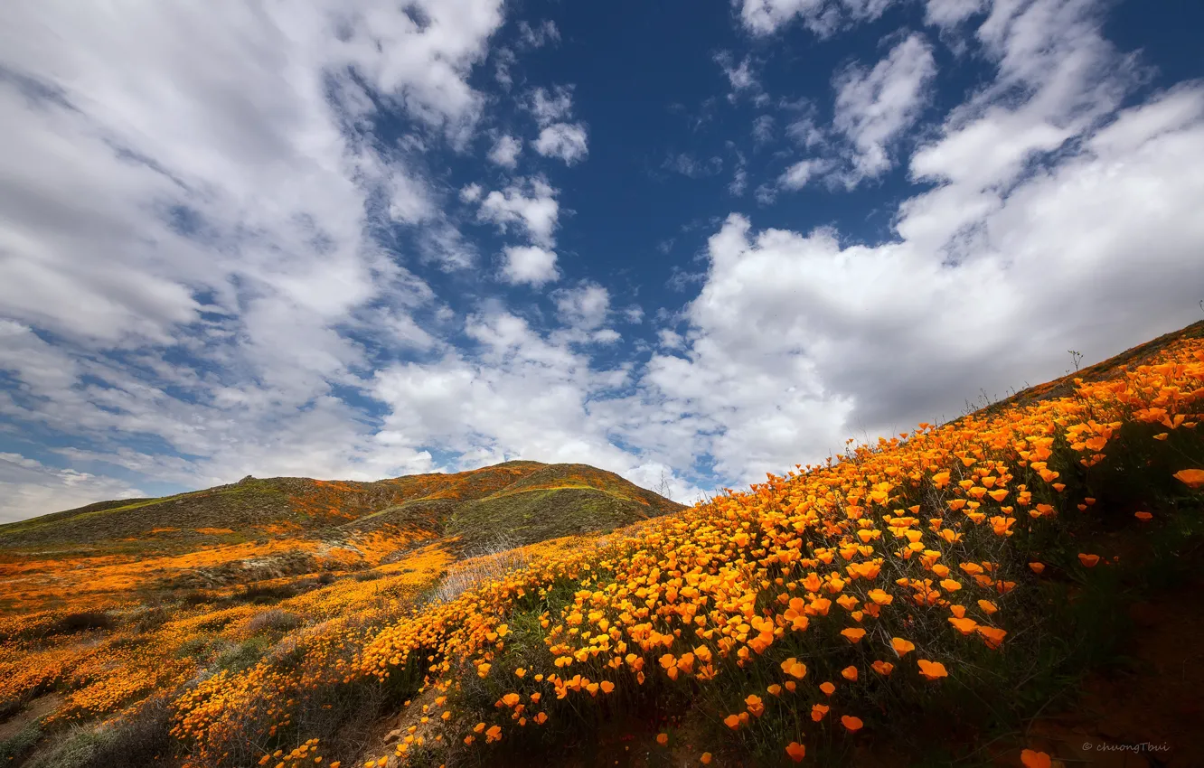 Photo wallpaper the sky, clouds, flowers, mountains, hills, CA, canyon, USA