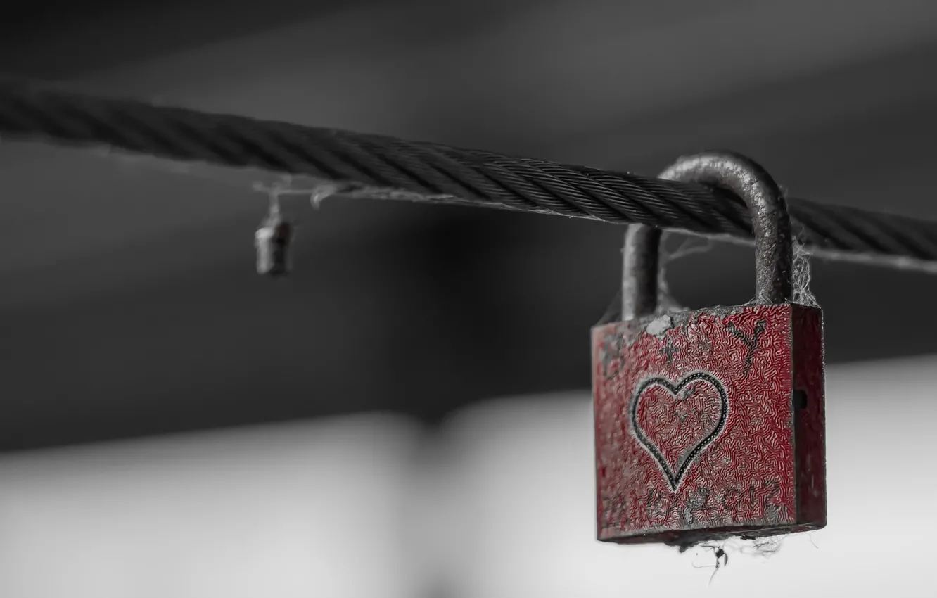 Photo wallpaper castle, heart, the cable