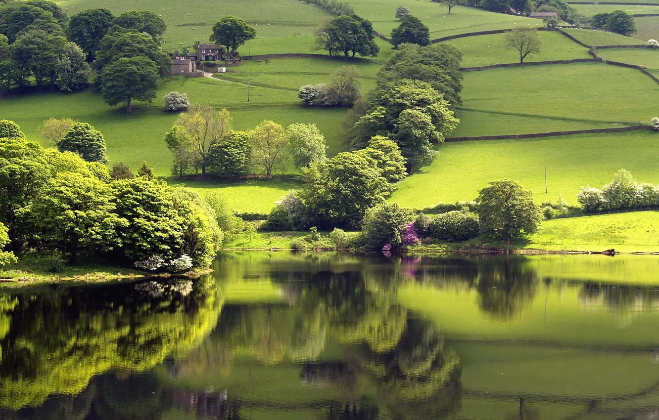 Photo wallpaper greens, lake, reflection