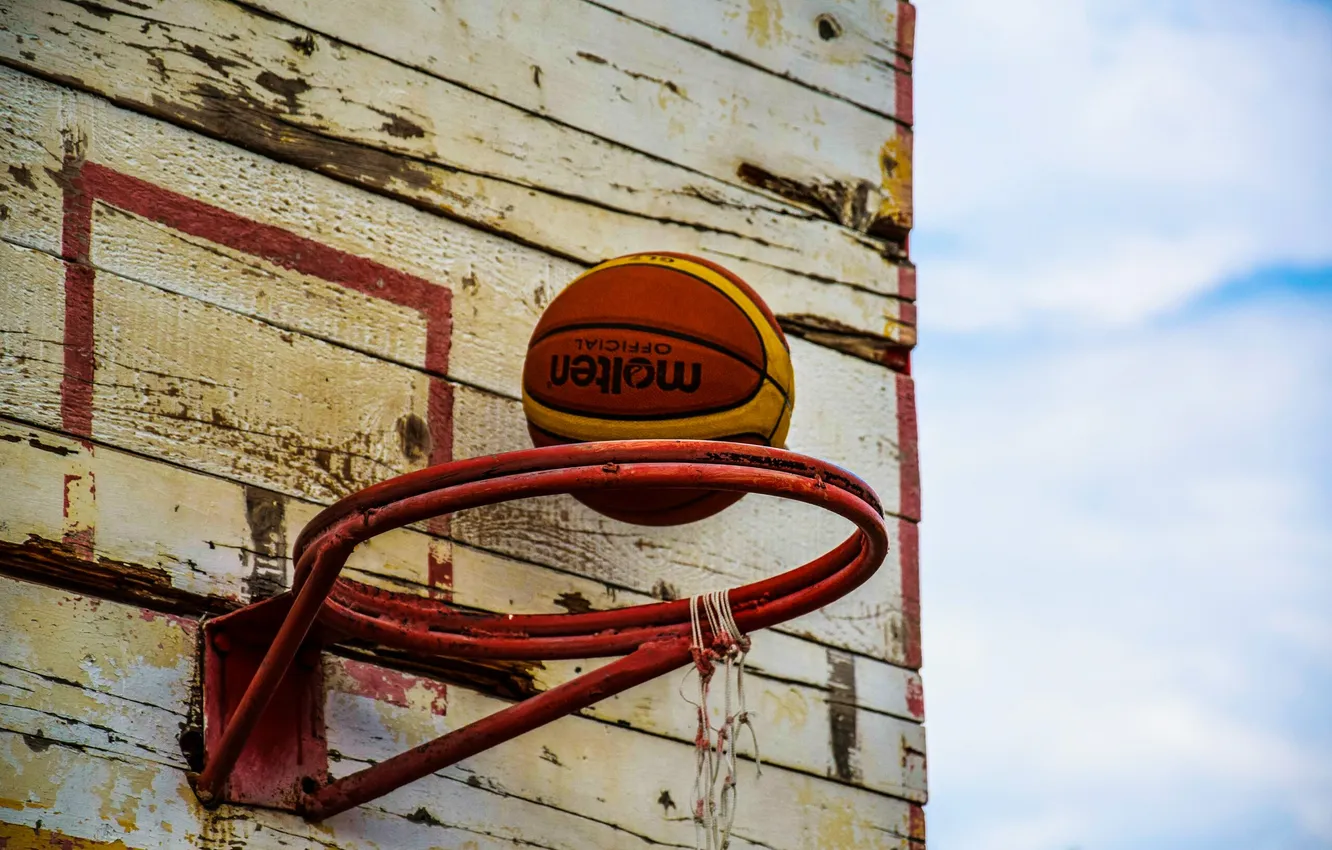 Photo wallpaper style, the ball, ring, Basketball