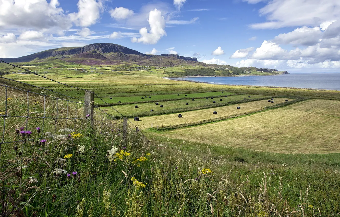 Photo wallpaper field, landscape, the fence