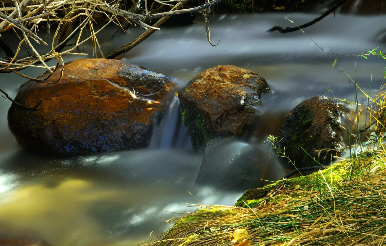 Photo wallpaper grass, stream, stones, stream