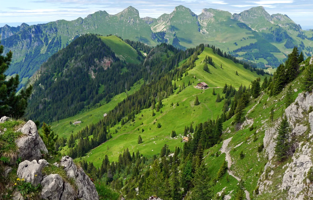 Photo wallpaper forest, summer, mountains, house, Switzerland, Switzerland, Guest-free