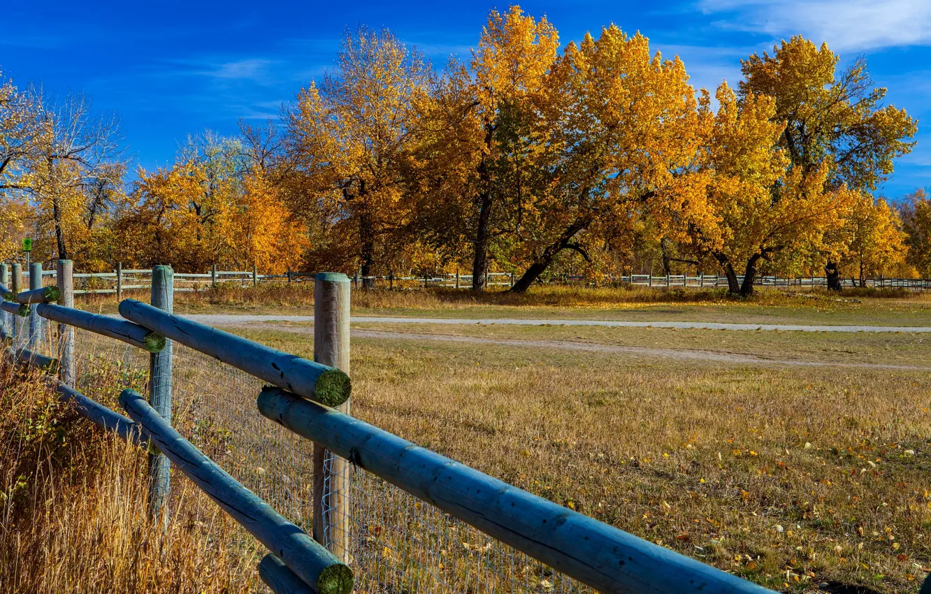 Photo wallpaper autumn, the sky, trees, the fence, Canada, Albert