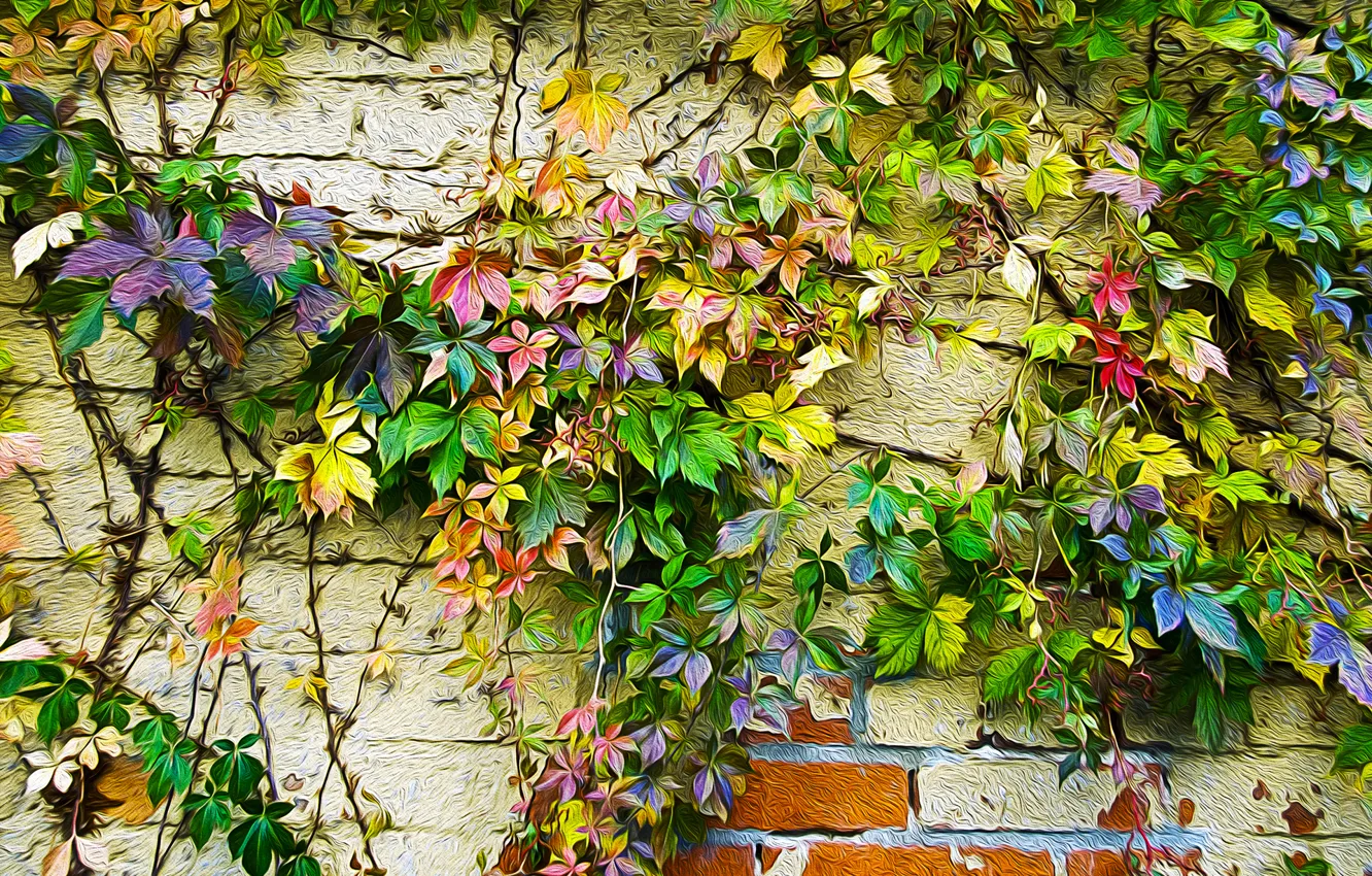 Photo wallpaper autumn, leaves, wall, paint, figure, color, ivy