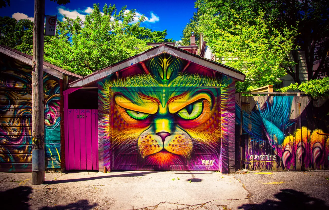 Photo wallpaper look, face, garage, Toronto, Toronto, garage door, Garage doors, Modern art