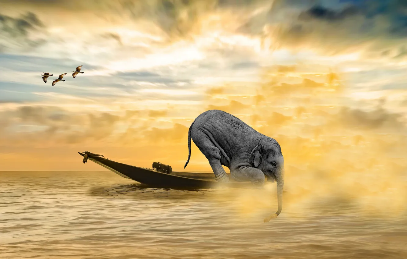 Photo wallpaper sea, rendering, boat, elephant, seagulls, pond