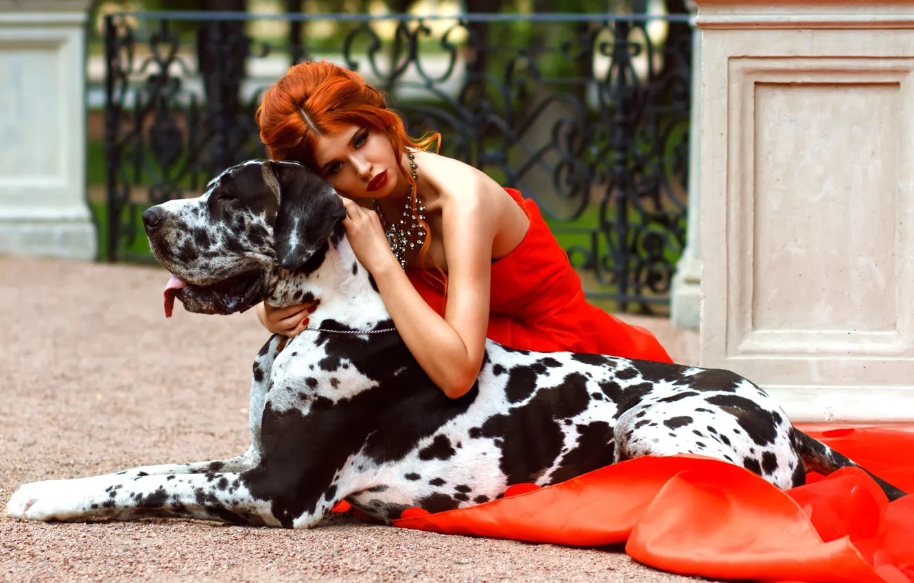 Photo wallpaper girl, style, mood, model, dog, makeup, red, red dress