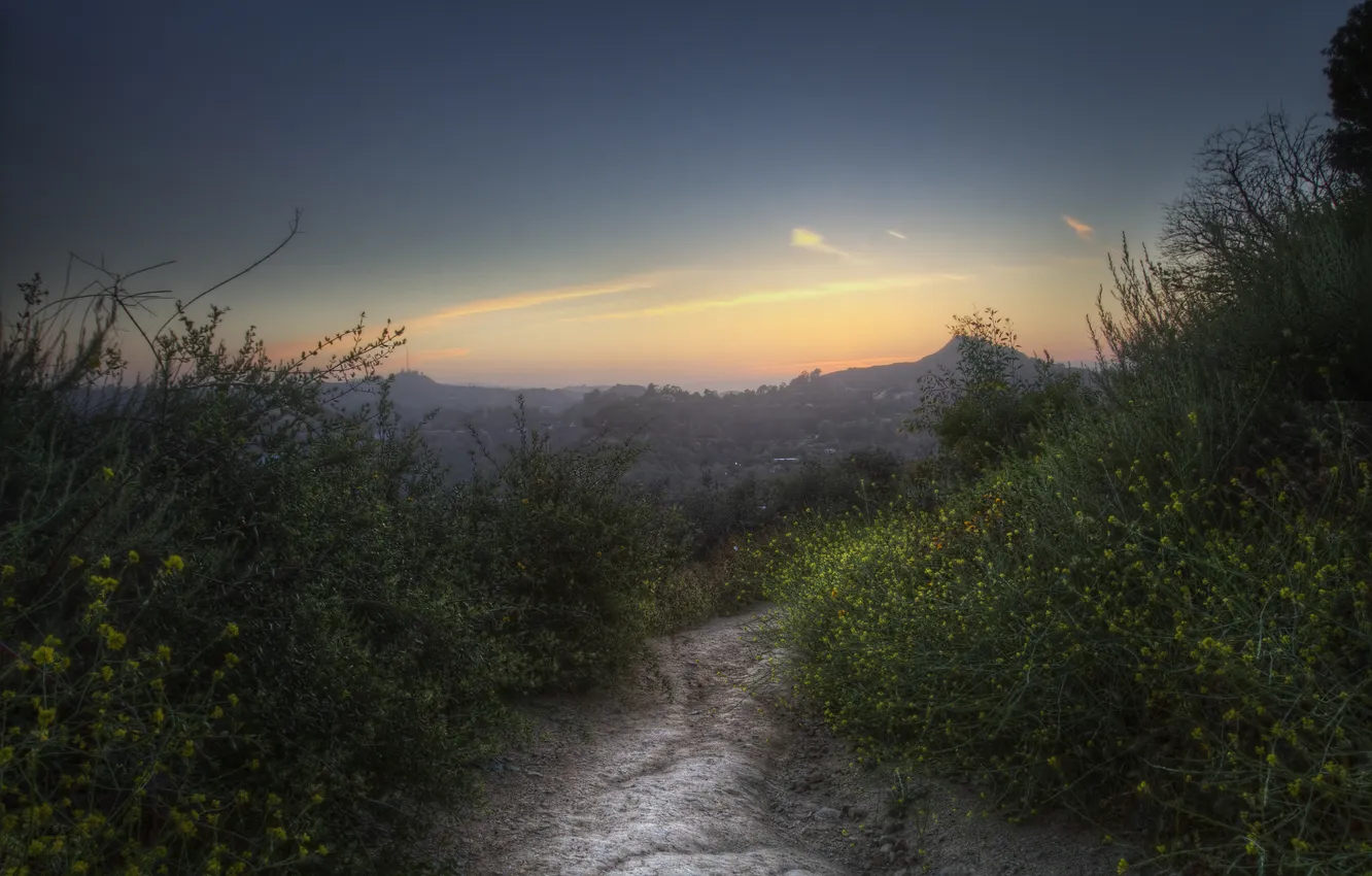 Photo wallpaper greens, sunset, mountains, path