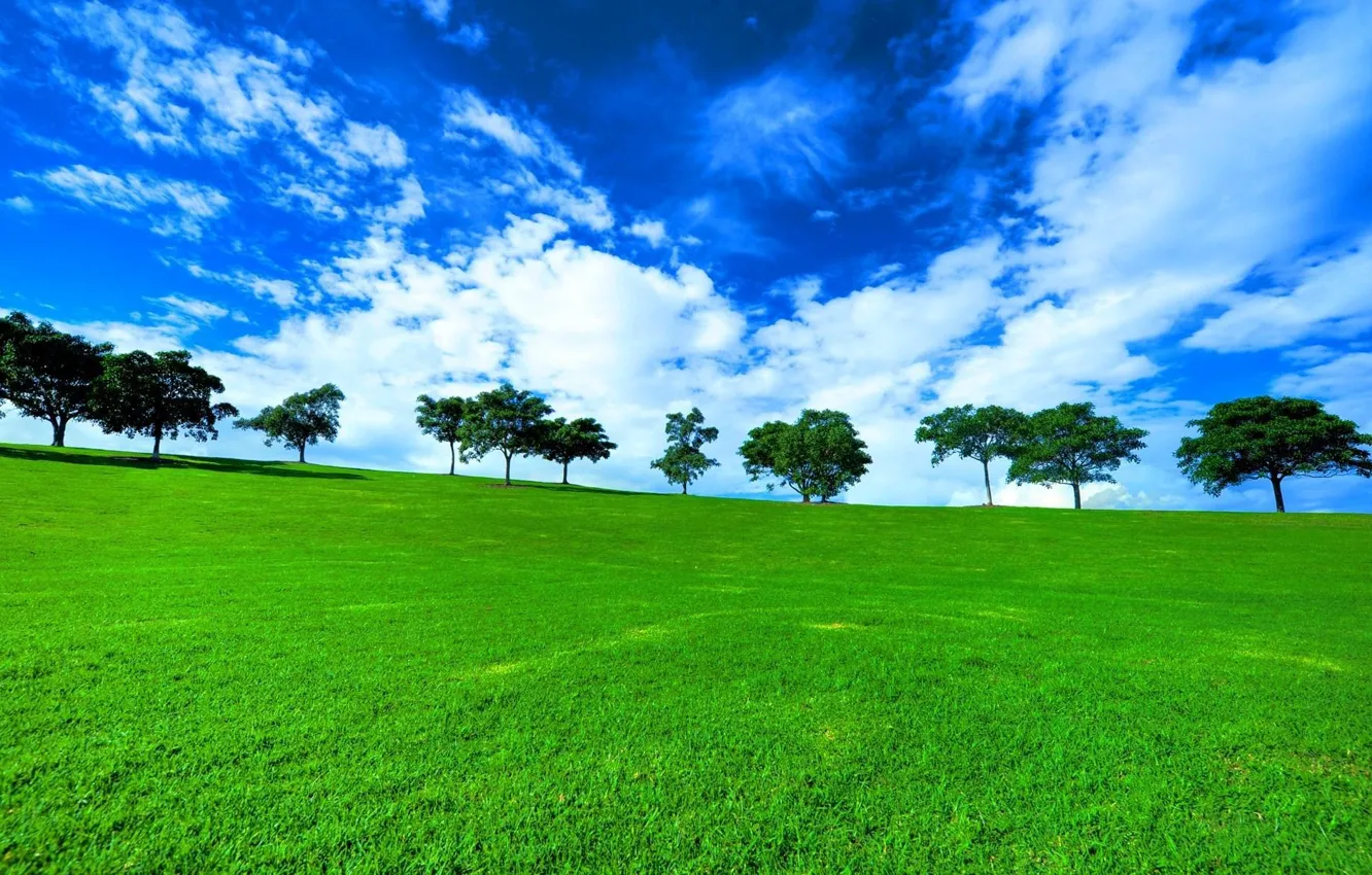 Photo wallpaper greens, field, grass, trees, landscape, nature, view