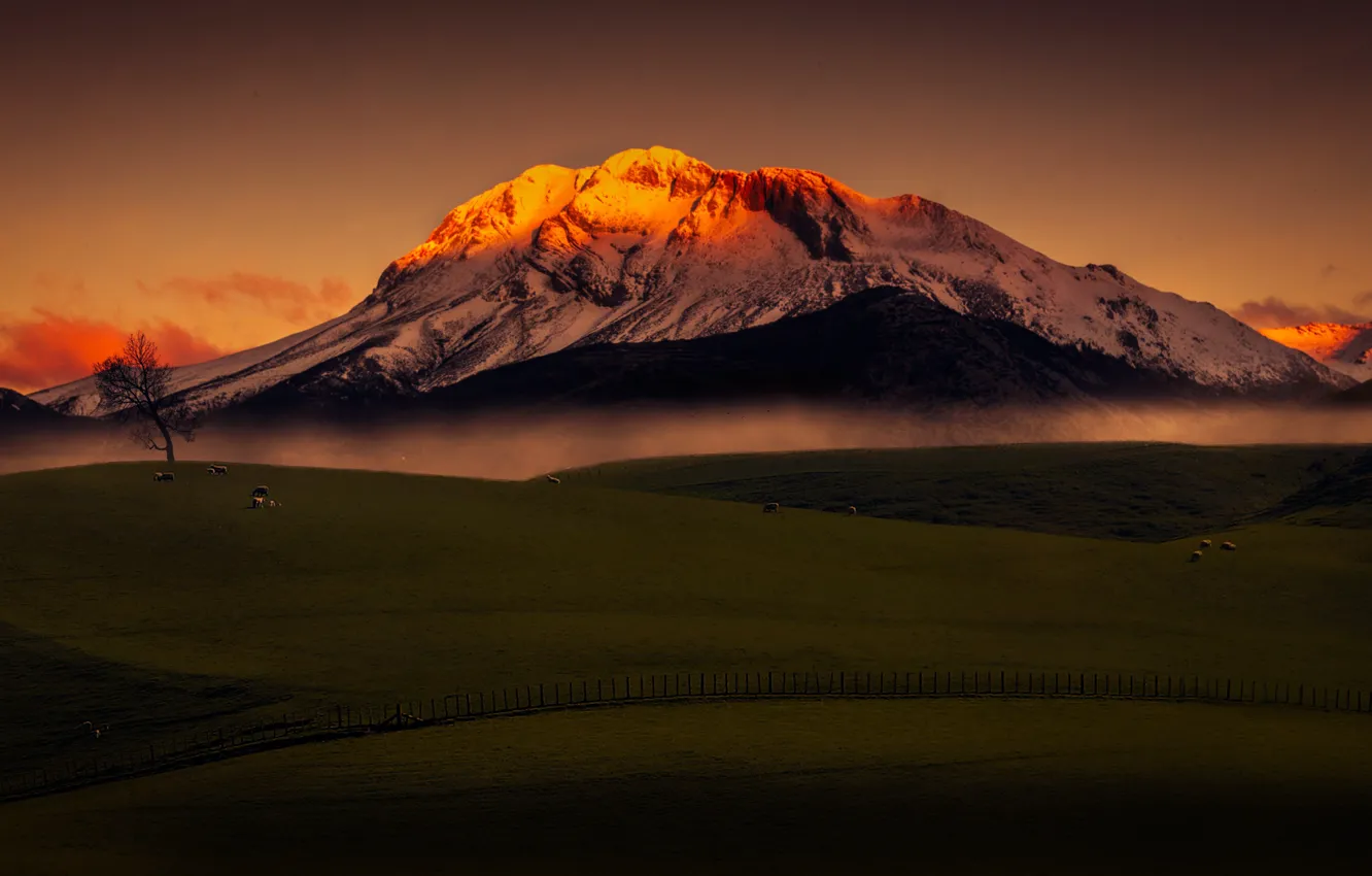 Photo wallpaper landscape, dawn, the sky, sheep, field, mountains