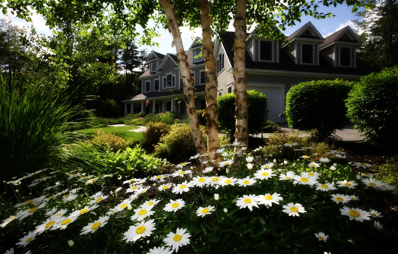 Photo wallpaper flowers, lawn, home, garden, cottage, home and garden