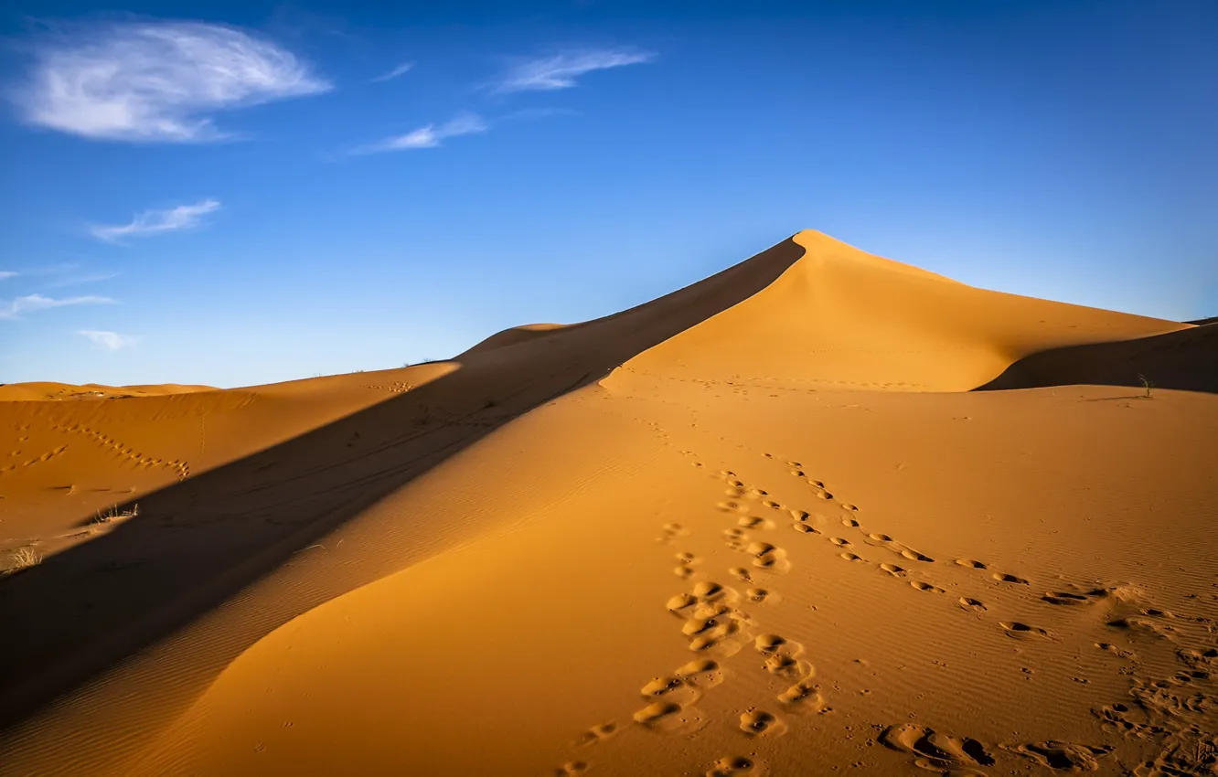 Photo wallpaper sand, desert, Sugar