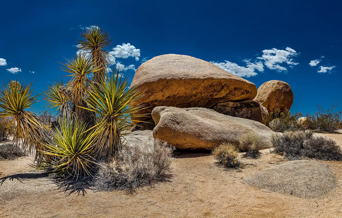 Photo wallpaper sand, the sky, stones, USA