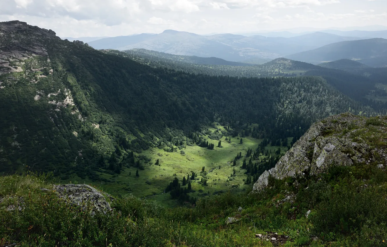 Photo wallpaper forest, trees, mountains, horizon, haze, Sayan, mountain landscape, Alexey Nikonov