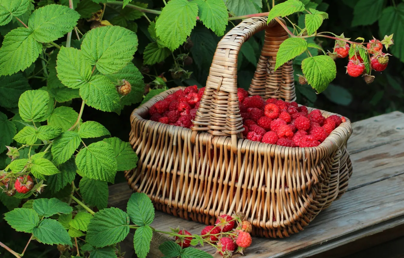 Photo wallpaper raspberry, basket, food, nature, food, basket, raspberries