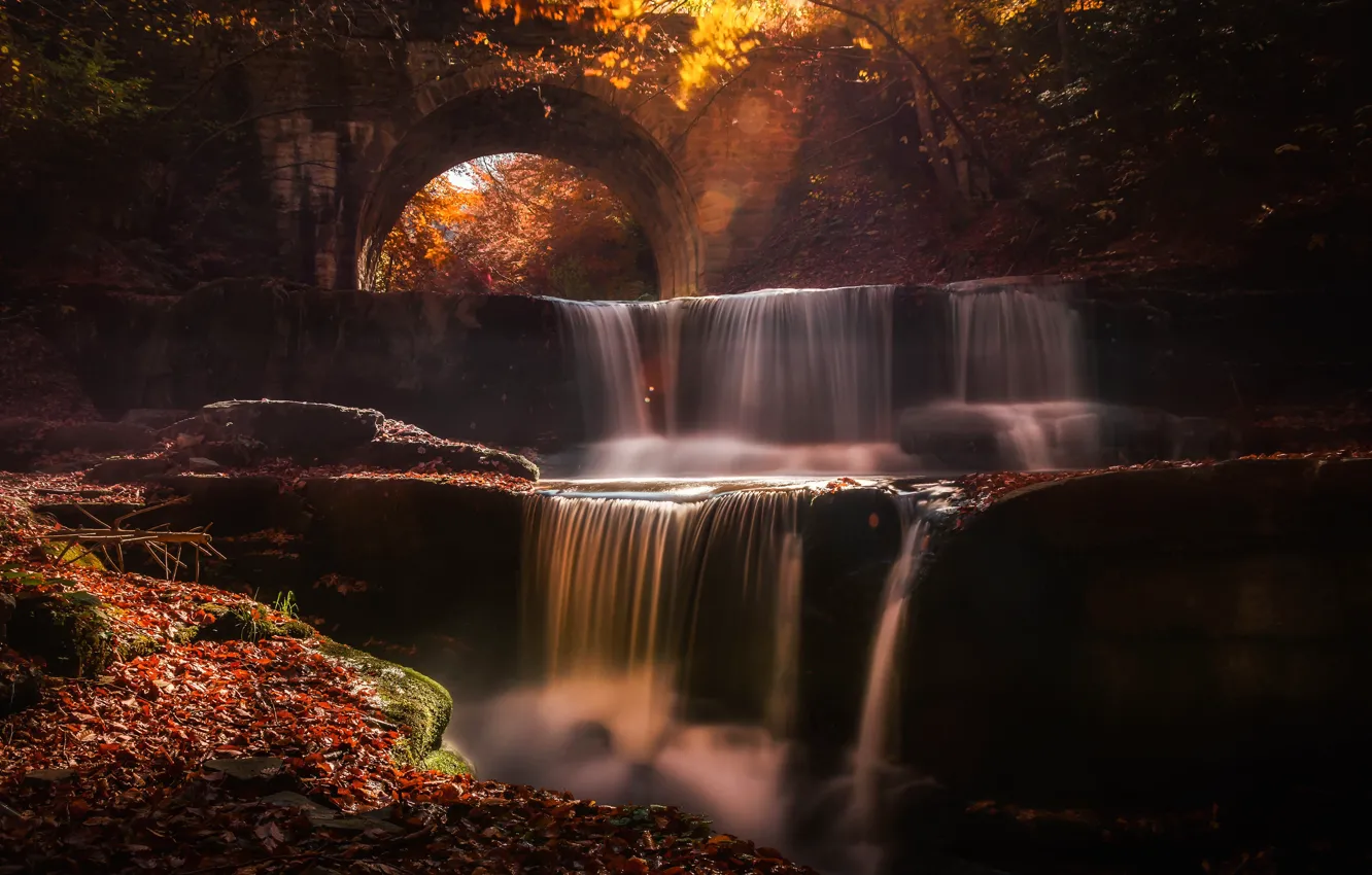 Photo wallpaper autumn, leaves, water, rays, light, bridge, nature, fog