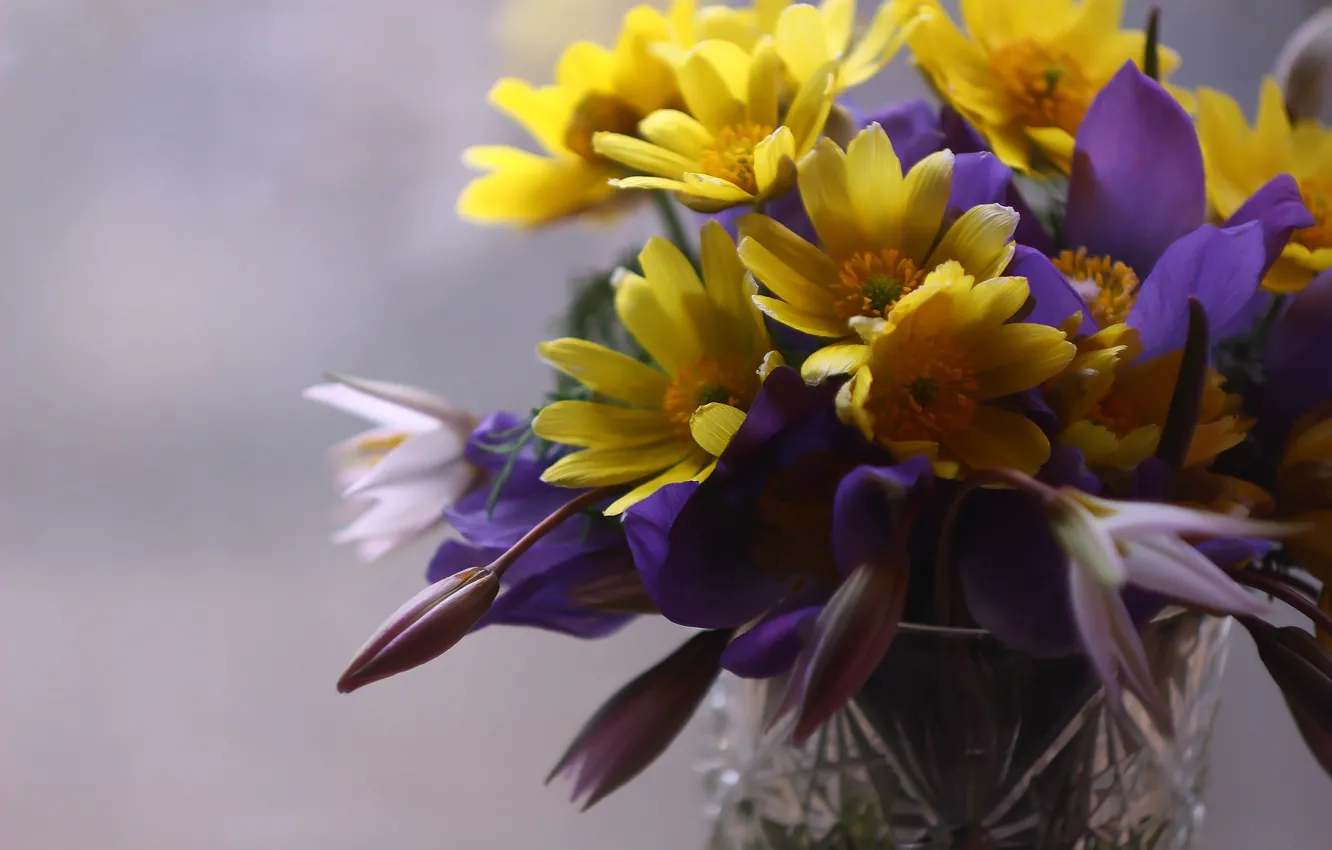 Photo wallpaper background, spring, flowers