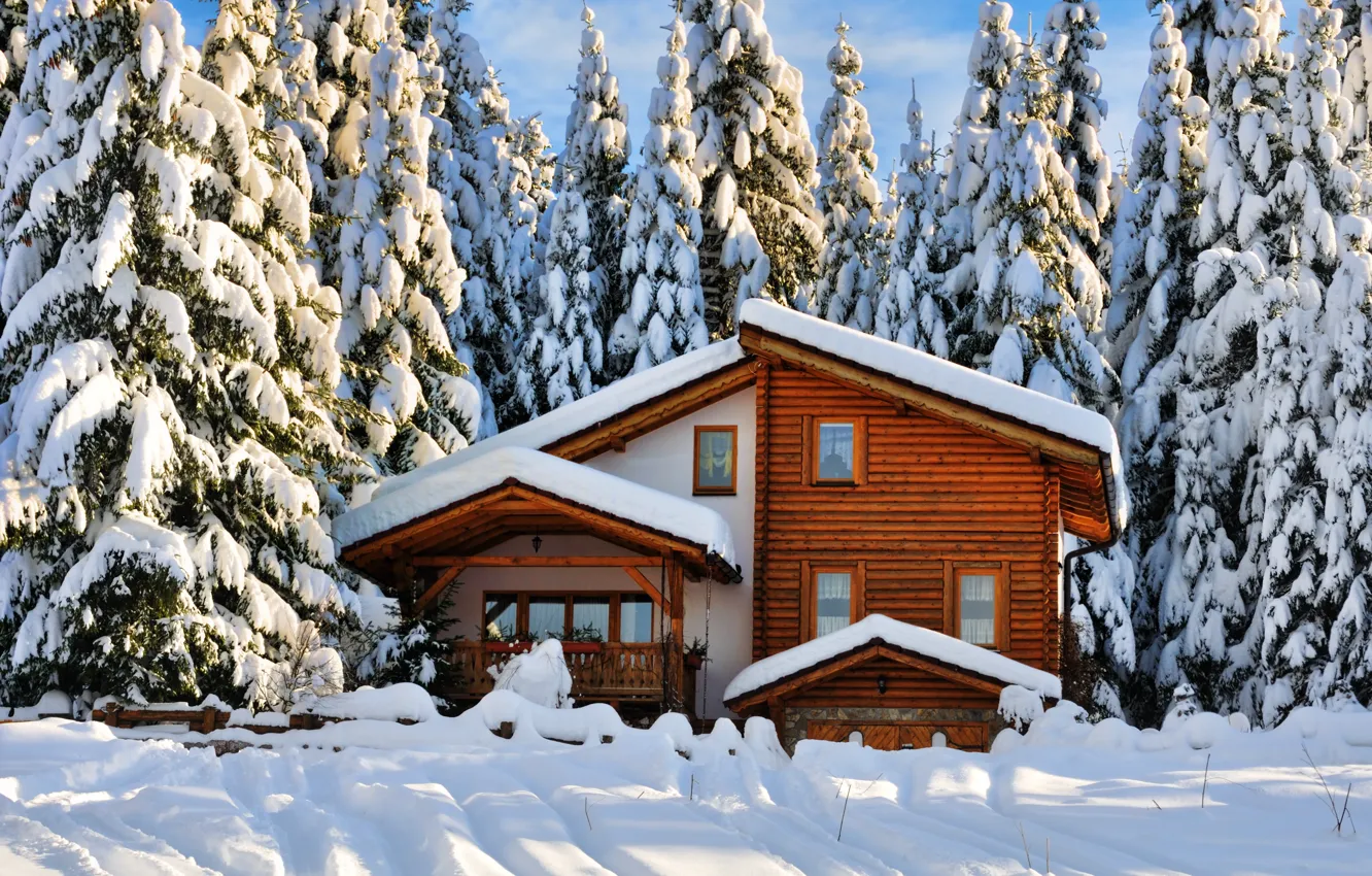 Photo wallpaper winter, forest, snow, trees, landscape, nature, house, winter