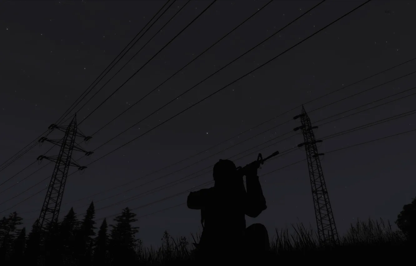Photo wallpaper the sky, grass, stars, trees, night, weapons, people, silhouette