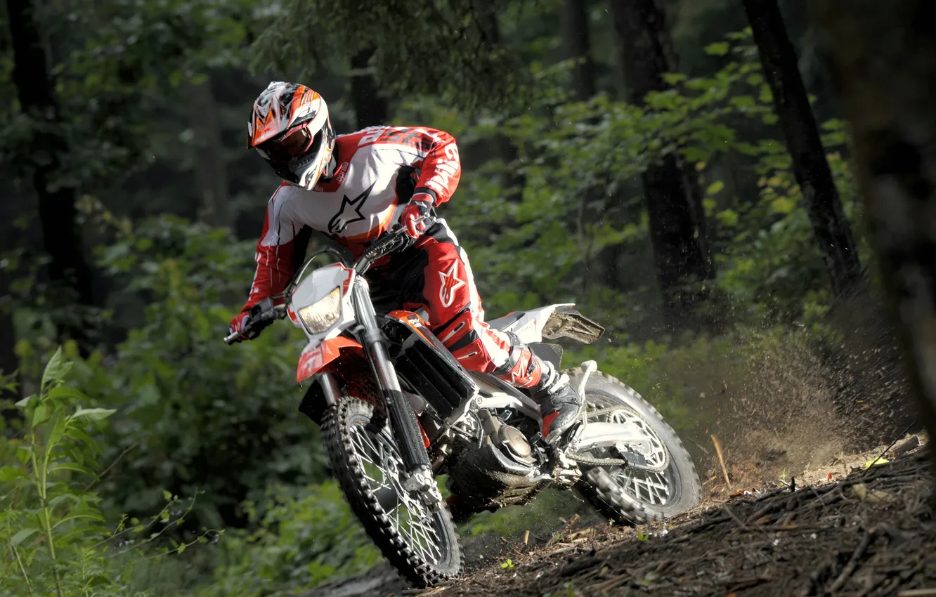 Photo wallpaper forest, sport, Aprilia, RXV