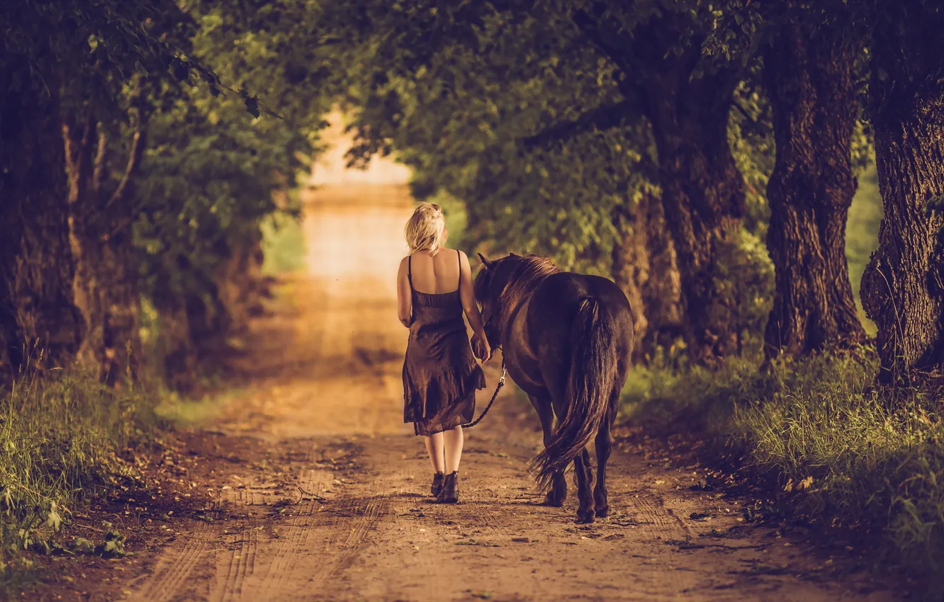 Photo wallpaper road, girl, mood, horse