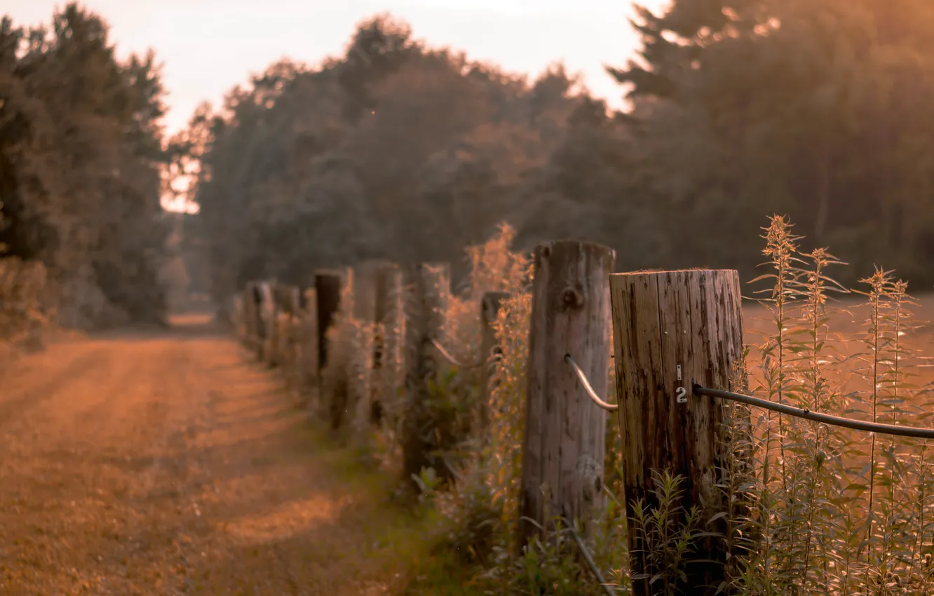 Photo wallpaper road, nature, the fence