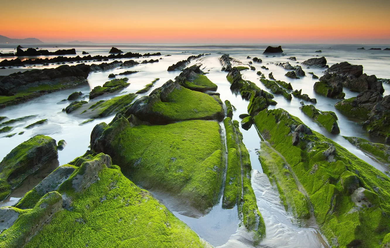 Photo wallpaper sea, the sky, algae, sunset, stones, rocks, tide