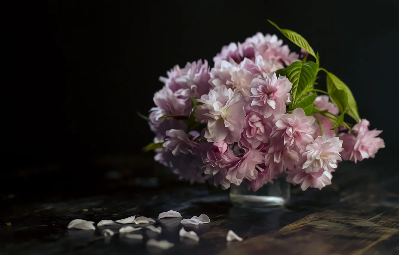 Photo wallpaper bouquet, petals, Blossom