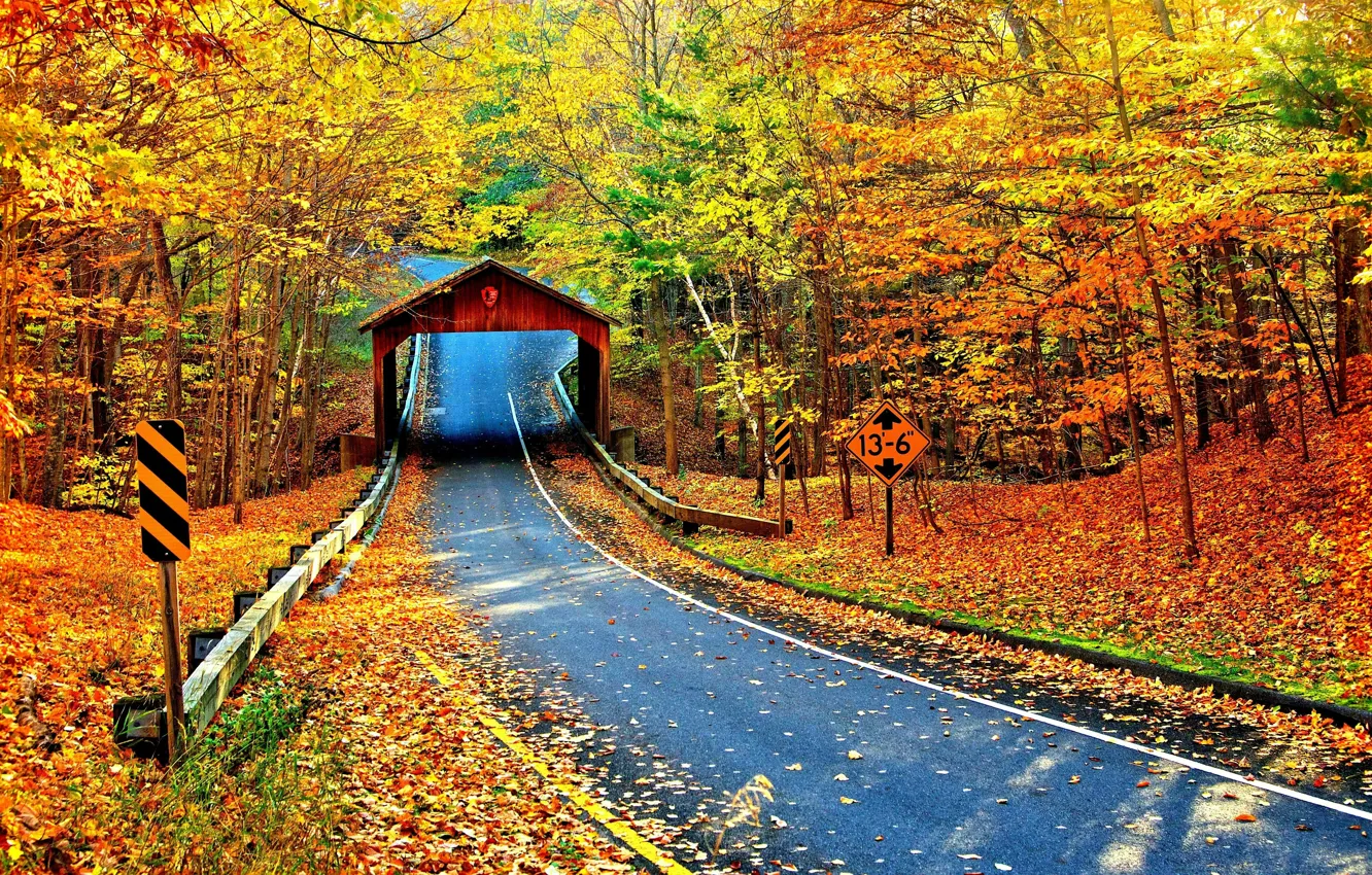 Photo wallpaper nature, autumn, highway, cambron covered bridge