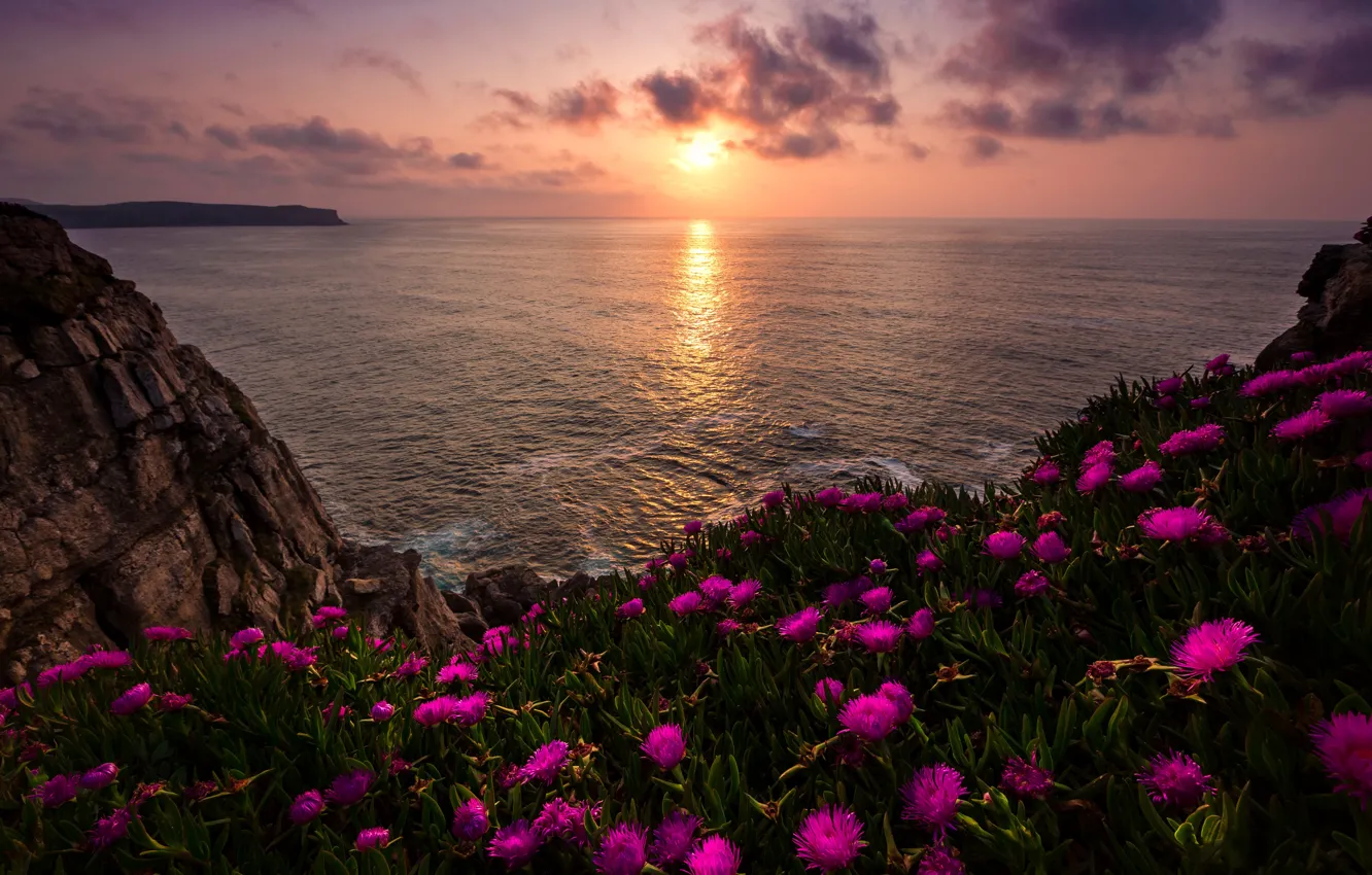 Photo wallpaper sea, the sun, clouds, light, landscape, sunset, flowers, nature