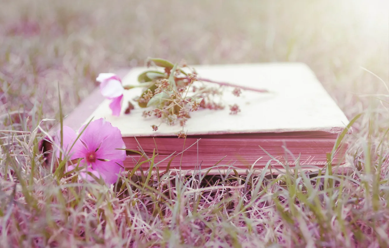Photo wallpaper flower, grass, book