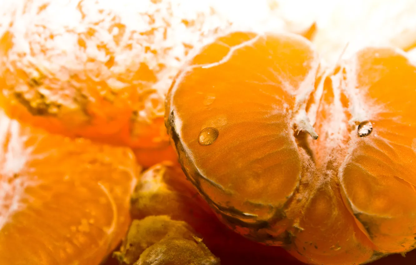 Photo wallpaper drops, macro, slices, tangerines