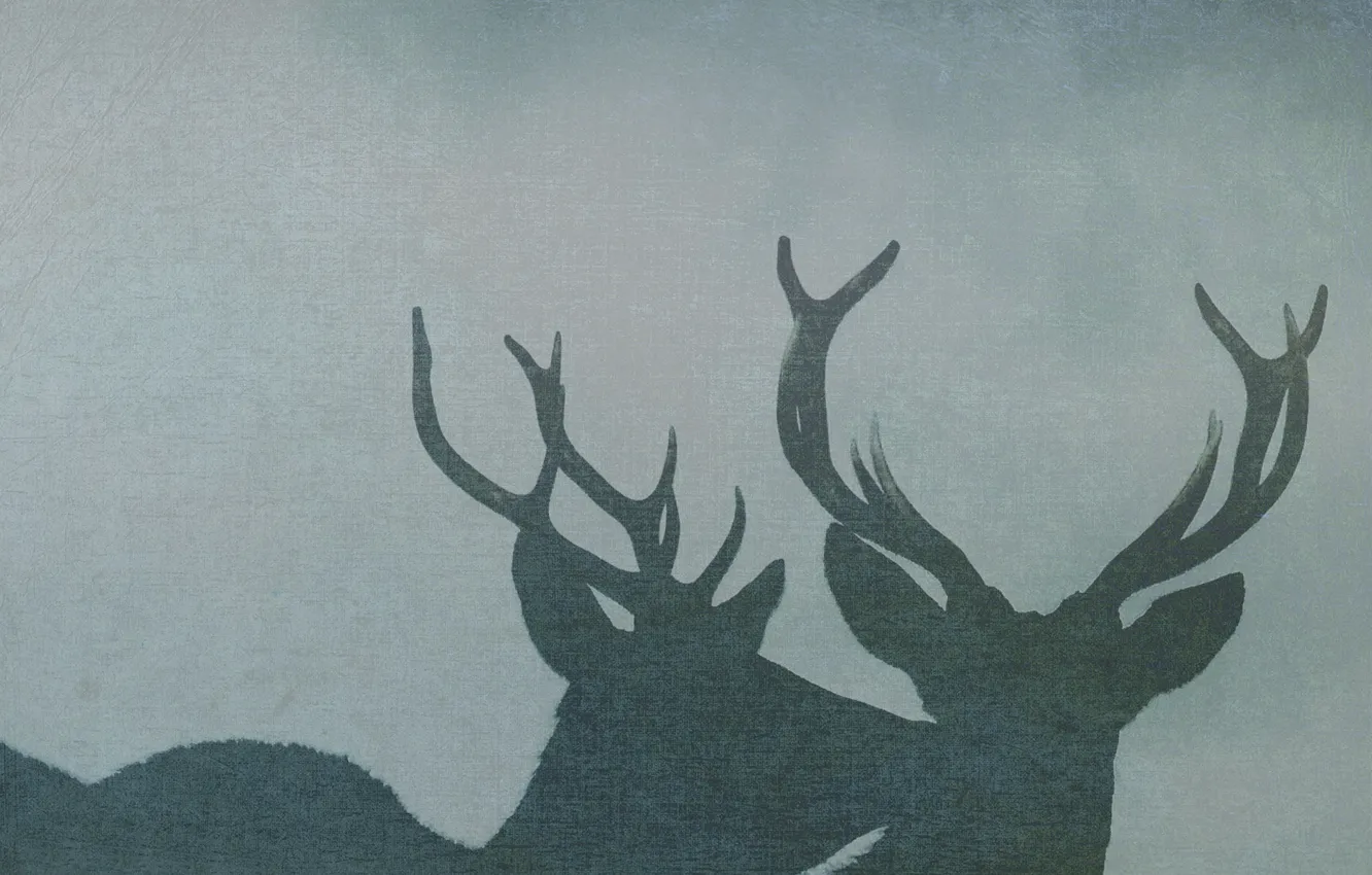Photo wallpaper background, texture, deer, pair, deer