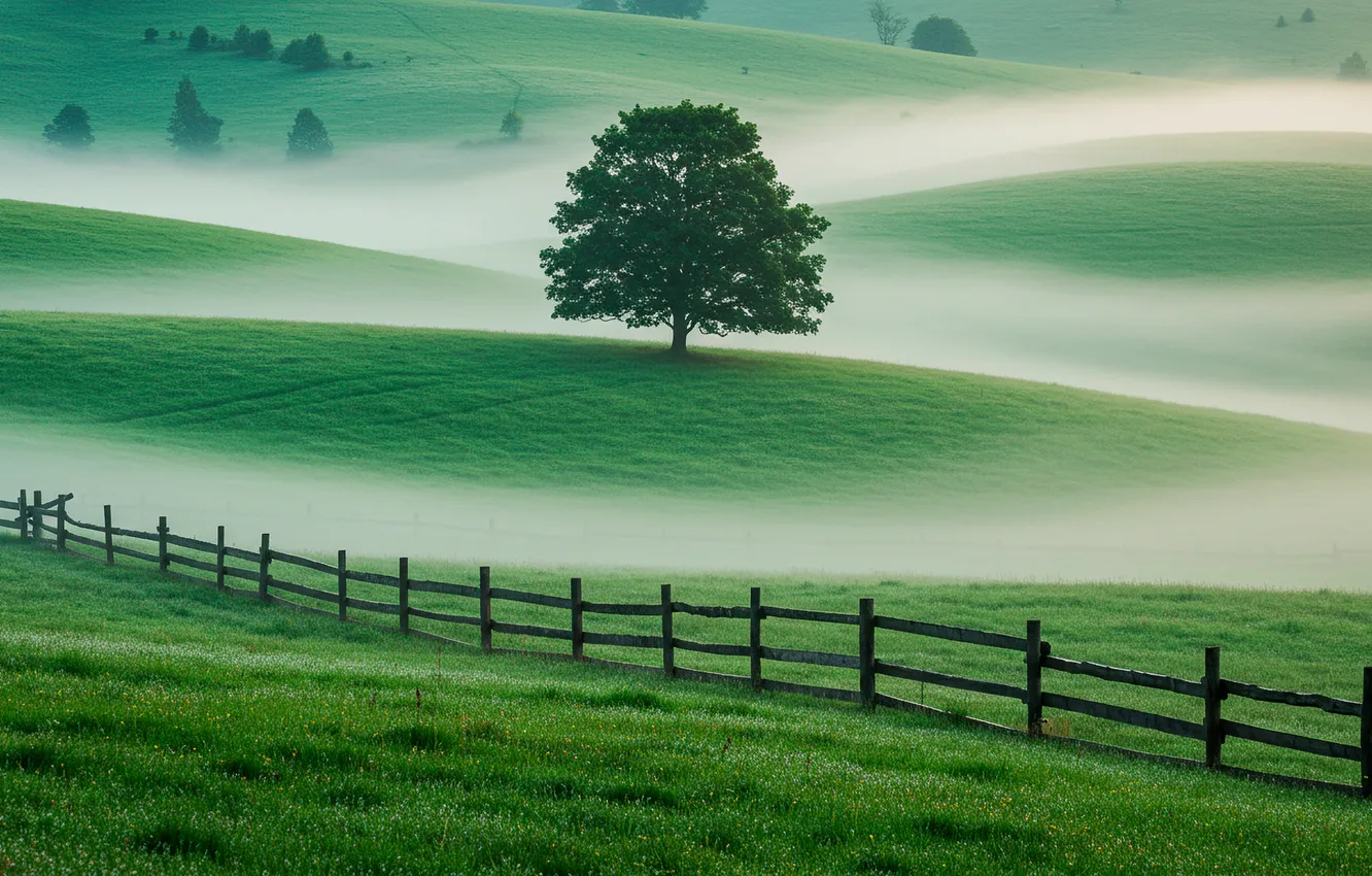 Photo wallpaper field, grass, trees, fog, hills, the fence, wallpaper, grass
