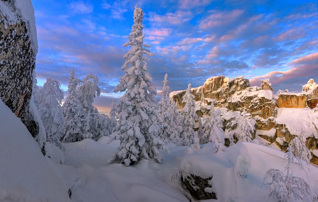 Photo wallpaper winter, snow, trees, landscape, nature, rocks, ate