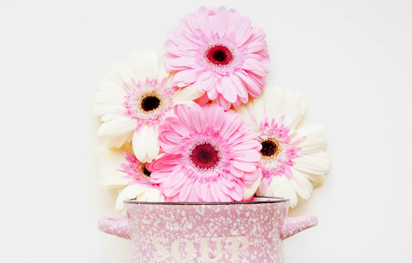 Photo wallpaper flowers, background, pink, gerbera