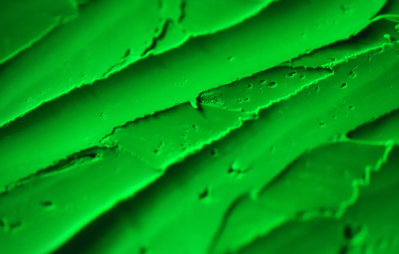 Photo wallpaper substance, texture, green