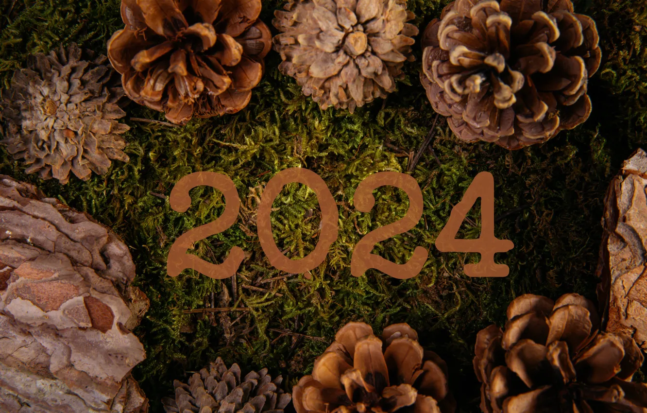 Photo wallpaper new year, moss, figures, bark, bumps, date, 2024, New Year 2024