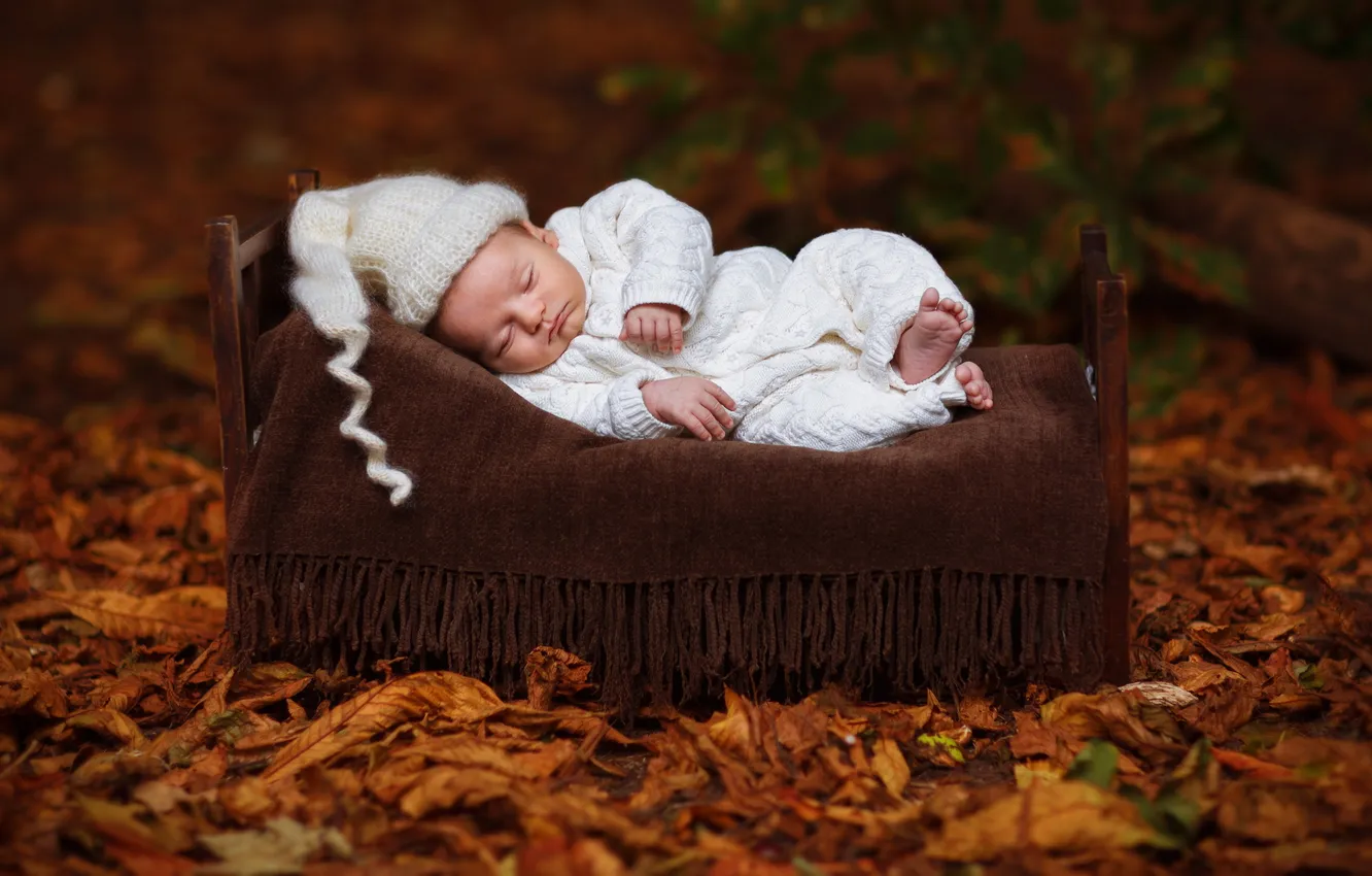 Photo wallpaper background, bed, baby