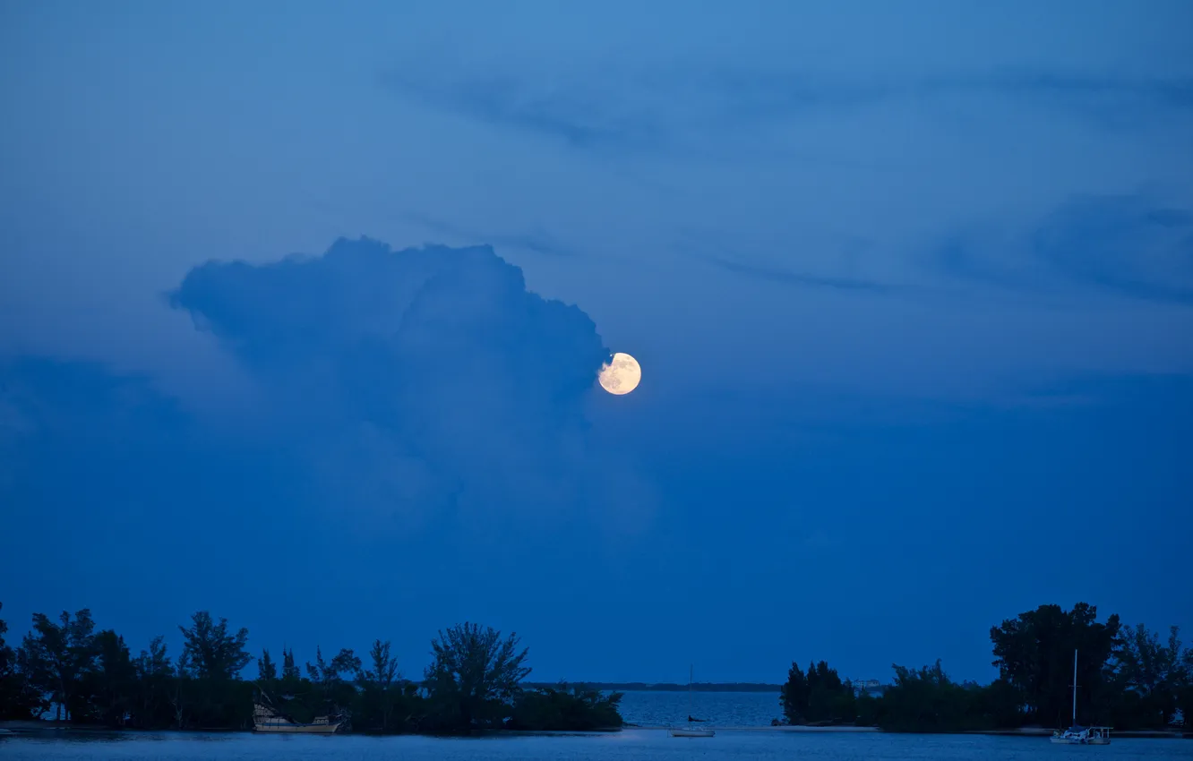 Photo wallpaper sea, trees, night, lake, the moon, yacht, Bay, harbour