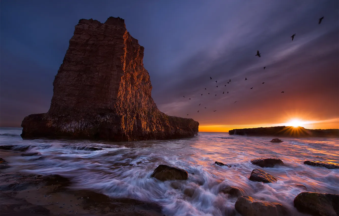 Photo wallpaper sea, sunset, rocks