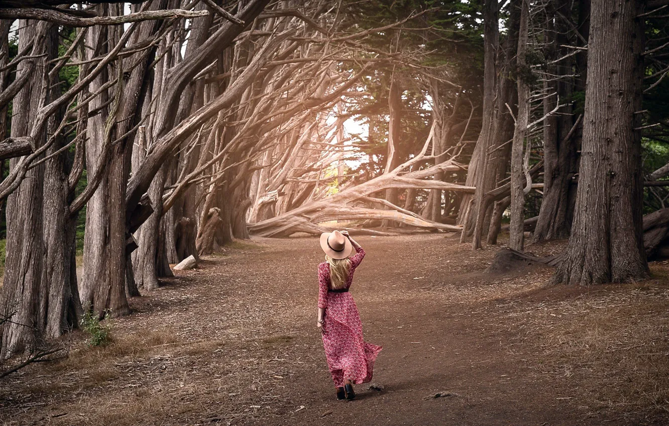 Photo wallpaper road, girl, trees
