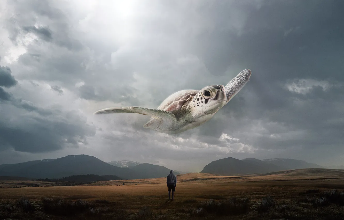 Photo wallpaper flight, landscape, clouds, fiction, people, turtle, art, fantasy