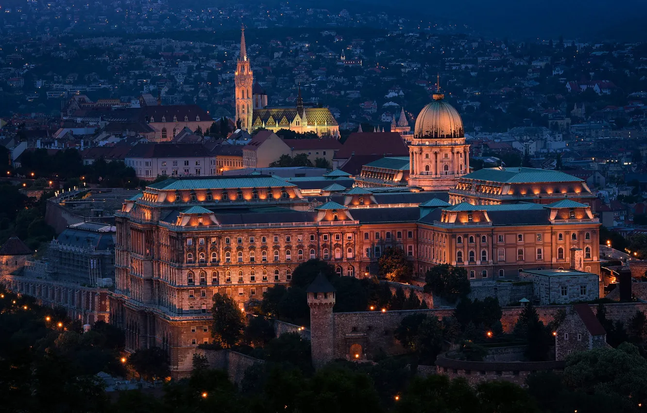 Photo wallpaper trees, night, the city, lights, building, home, dal, lighting