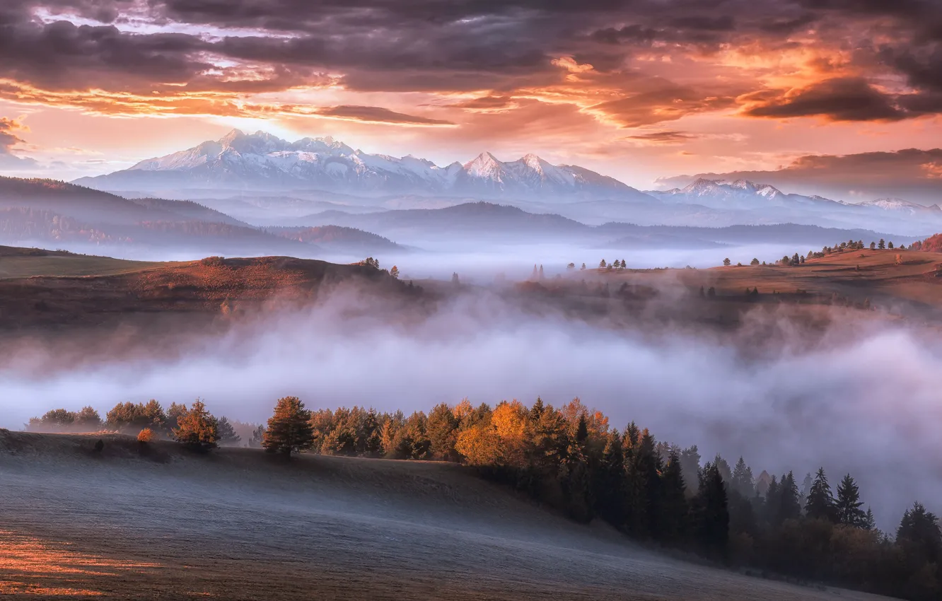 Photo wallpaper autumn, mountains, fog, morning, Carpathians